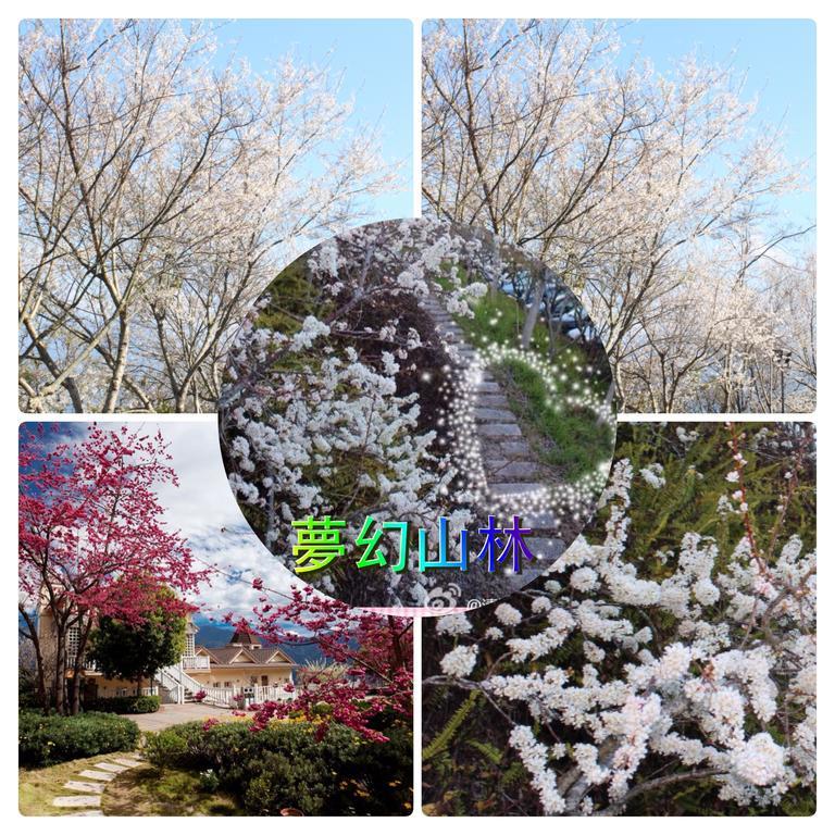 רן-איי Dream Forest Villa מראה חיצוני תמונה