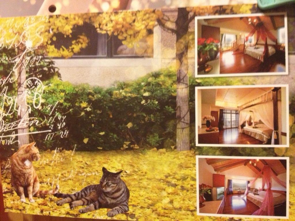 רן-איי Dream Forest Villa מראה חיצוני תמונה